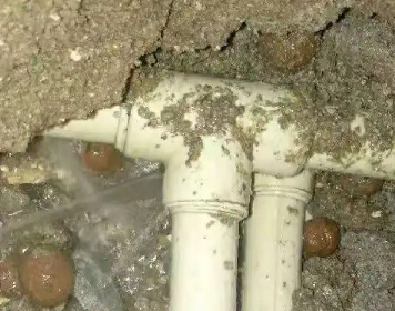 鹤山测漏水多少钱