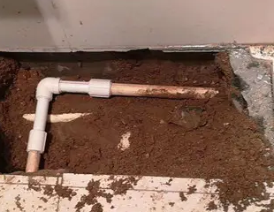 鹤山测漏水哪家好