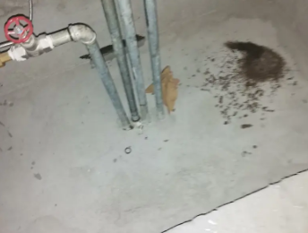 鹤山卫生间测漏水价格明细