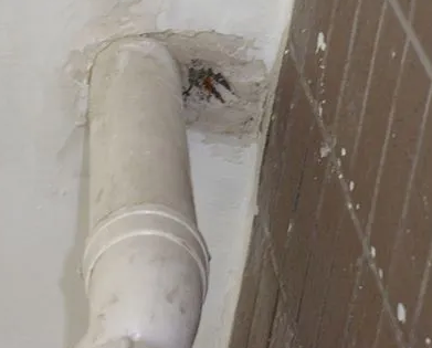 鹤山漏水检测哪家好